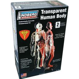 Click here to learn more about the Lindberg Transparent Human Body.