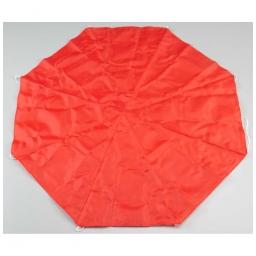Click here to learn more about the Estes Nylon Parachute Pro Series II 24".