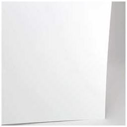 Click here to learn more about the Evergreen Scale Models White Sheet .100 12 X 24 (2).