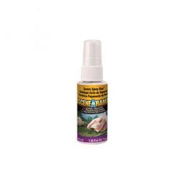 Click here to learn more about the Woodland Scenics Scene-A-Rama Scenic Spray Glue.