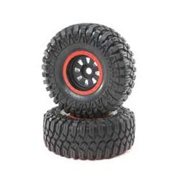 Click here to learn more about the Losi MaxxisCreepyCrawlerLT,Black,Mntd(2): SuperRockRey.