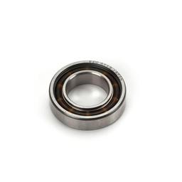 Click here to learn more about the Dynamite Rear Bearing (13X24X6): DYN .21.