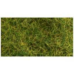 Click here to learn more about the Bachmann Industries 6mm 11" x 5.5" Static Grass, Wild Grass.