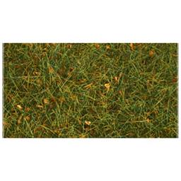 Click here to learn more about the Bachmann Industries 6mm 11" x 5.5" Static Grass, Alpine Green.