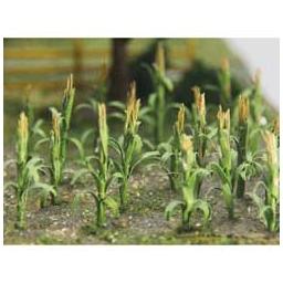 Click here to learn more about the Bachmann Industries Corn Stalks - 1" Tall (30/Pk).