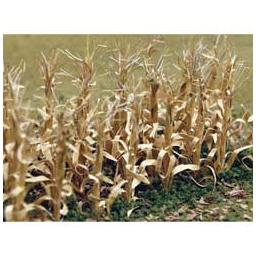 Click here to learn more about the Bachmann Industries Dried Corn Stalks (30/Pk).