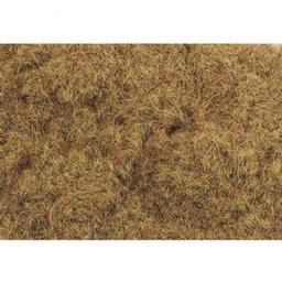 Click here to learn more about the PECO 2mm/1/16" Static Grass, Patchy 30g/1.06oz.
