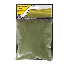 Click here to learn more about the Woodland Scenics Static Grass, Medium Green 2mm.