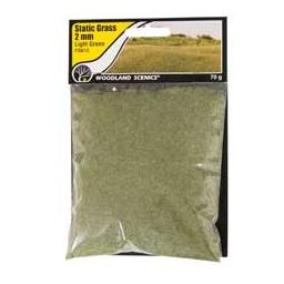 Click here to learn more about the Woodland Scenics Static Grass, Light Green 2mm.