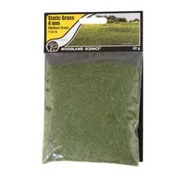 Click here to learn more about the Woodland Scenics Static Grass, Medium Green 4mm.