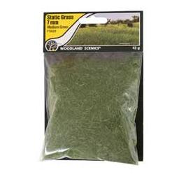 Click here to learn more about the Woodland Scenics Static Grass, Medium Green 7mm.