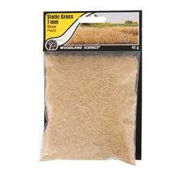 Click here to learn more about the Woodland Scenics Static Grass, Straw Green 7mm.