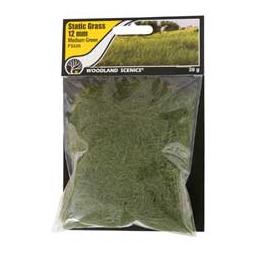 Click here to learn more about the Woodland Scenics Static Grass, Medium Green 12mm.