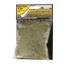 Click here to learn more about the Woodland Scenics Static Grass, Light Green 12mm.