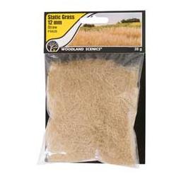 Click here to learn more about the Woodland Scenics Static Grass, Straw Green 12mm.