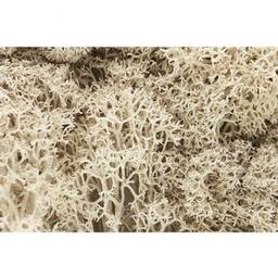 Click here to learn more about the Woodland Scenics Lichen Bag, Natural/82 cu. in..