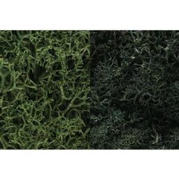 Click here to learn more about the Woodland Scenics Lichen Bag, Dark Green Mix/165 cu. in..